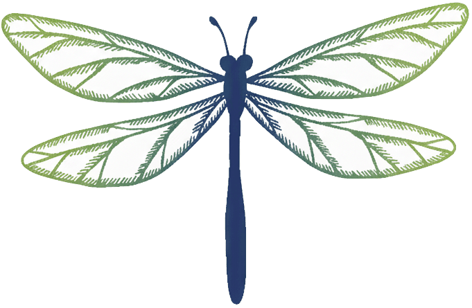 Praktijk Kinesiologie Logo